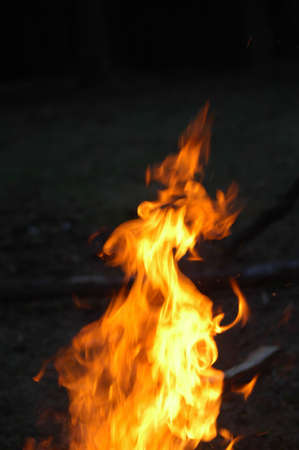 Fireの写真素材