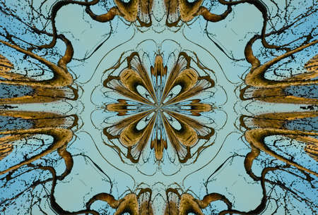 A kaleidoscope, abstract fantasy, illustration, can be used as a backgroundの写真素材