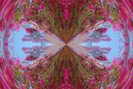 A kaleidoscope, abstract fantasy, illustration, can be used as a backgroundの写真素材