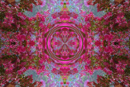 A kaleidoscope, abstract fantasy, illustration, can be used as a backgroundの写真素材