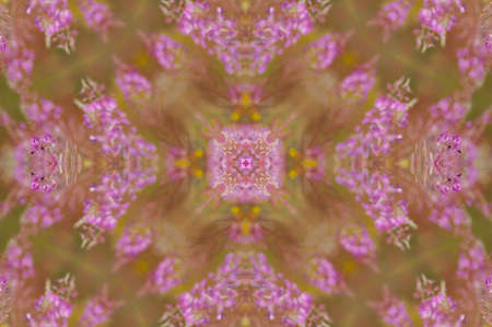 A kaleidoscope, abstract fantasy, illustration, can be used as a backgroundの写真素材