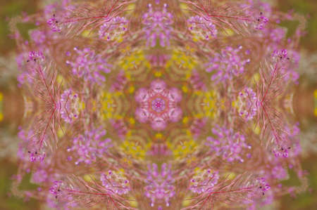 A kaleidoscope, abstract fantasy, illustration, can be used as a backgroundの写真素材