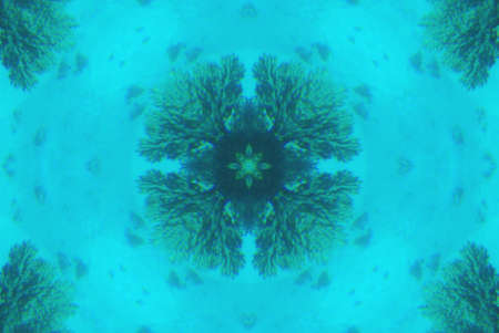A kaleidoscope, abstract fantasy, illustration, can be used as a backgroundの写真素材