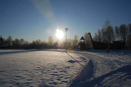 Winter in forest. White snow in land.の写真素材