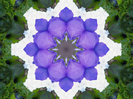 A kaleidoscope, abstract fantasy, illustration, can be used as a background