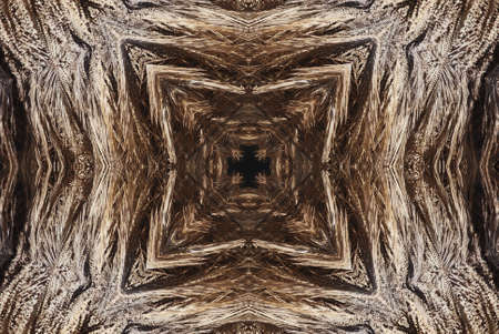 A kaleidoscope, abstract fantasy, illustration, can be used as a backgroundの写真素材