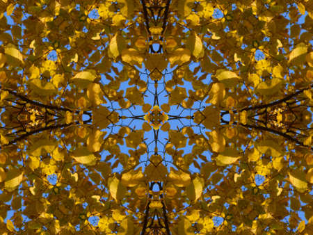 Nice  ornamental  fractalの写真素材