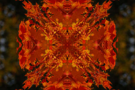 A kaleidoscope, abstract fantasy, illustration, can be used as a backgroundの写真素材