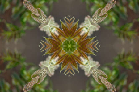 Abstract floral ornament ( seamless texture )の写真素材