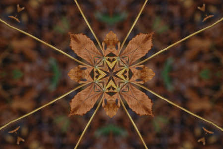 A kaleidoscope, abstract fantasy, illustration, can be used as a background