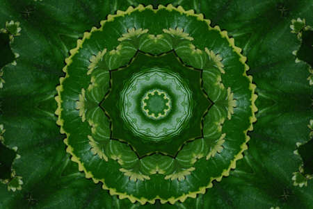 Abstract floral ornament ( seamless texture )の写真素材