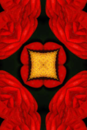 A kaleidoscope, abstract fantasy, illustration, can be used as a backgroundの写真素材