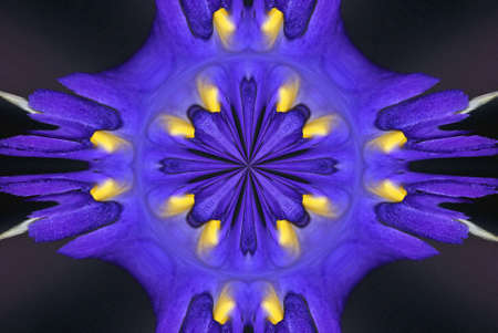 A kaleidoscope, abstract fantasy, illustration, can be used as a backgroundの写真素材