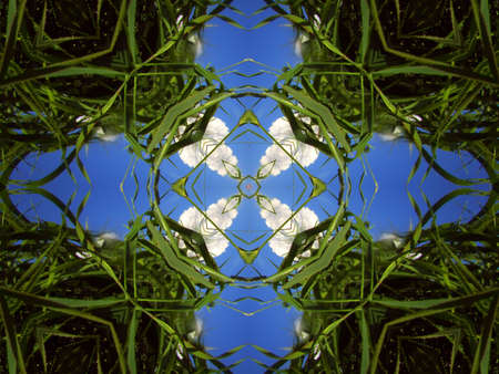 A kaleidoscope, abstract fantasy, illustration, can be used as a backgroundの写真素材