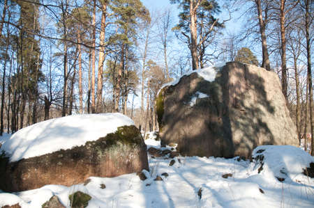 enormous stone are in a snow-bound parkの写真素材