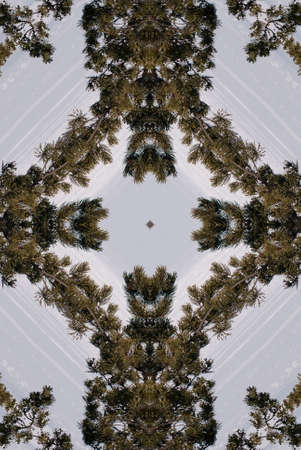 A kaleidoscope, abstract fantasy, illustration, can be used as a backgroundの写真素材