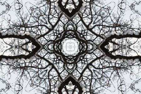 A kaleidoscope, abstract fantasy, illustration, can be used as a backgroundの写真素材
