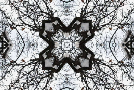 A kaleidoscope, abstract fantasy, illustration, can be used as a backgroundの写真素材