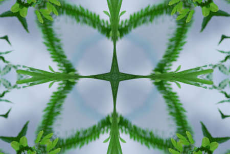 A kaleidoscope, abstract fantasy, illustration, can be used as a backgroundの写真素材