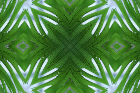 A kaleidoscope, abstract fantasy, illustration, can be used as a backgroundの写真素材