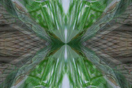 A kaleidoscope, abstract fantasy, illustration, can be used as a background