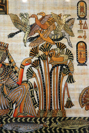 Egyptian papyrusの写真素材