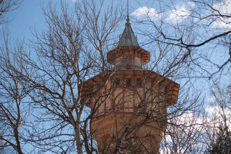 tower after trees, Sankt- Petersburg, Russiaの写真素材