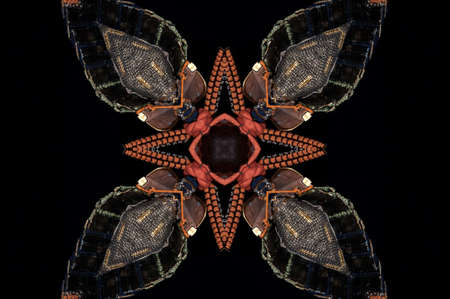 A kaleidoscope, abstract fantasy, illustration, can be used as a backgroundの写真素材