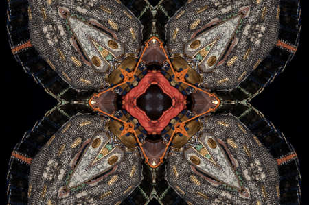 A kaleidoscope, abstract fantasy, illustration, can be used as a background