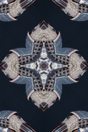A kaleidoscope, abstract fantasy, illustration, can be used as a backgroundの写真素材
