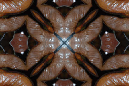 A kaleidoscope, abstract fantasy, illustration, can be used as a backgroundの写真素材