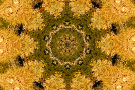 A kaleidoscope, abstract fantasy, illustration, can be used as a backgroundの写真素材