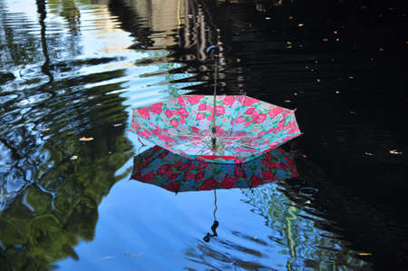umbrella in waterの写真素材
