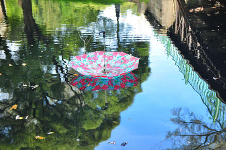 umbrella in waterの写真素材