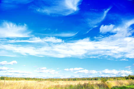 clouds above the fieldの写真素材