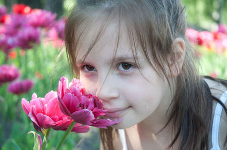 little girl, smelling a tulipの写真素材