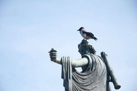 statue with a crow on a headの写真素材