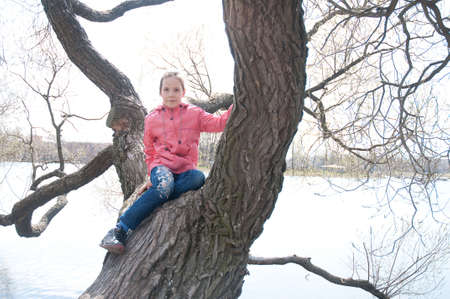 little girl, sitting on a treeの写真素材