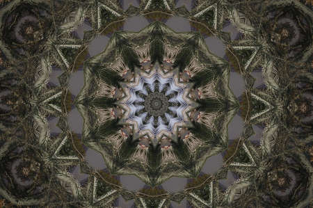 A kaleidoscope, abstract fantasy, illustration, can be used as a backgroundの写真素材