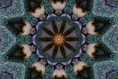 A kaleidoscope, abstract fantasy, illustration, can be used as a backgroundの写真素材