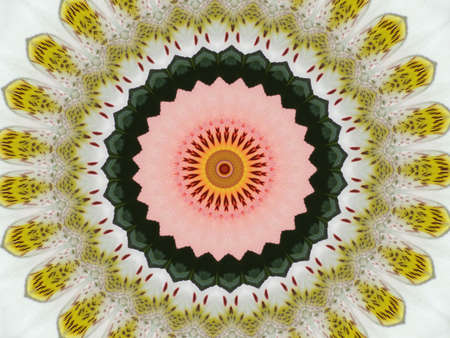 Beautiful ornament from colours, a kaleidoscope