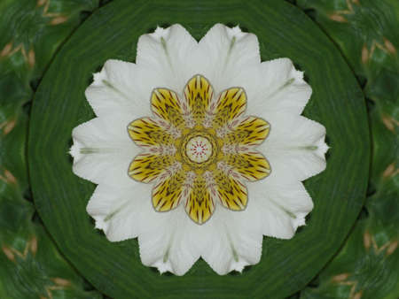 Beautiful ornament from colours, a kaleidoscopeの写真素材