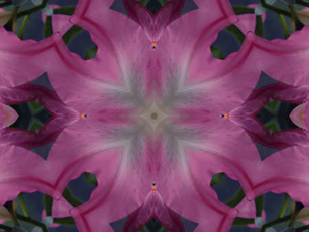 Beautiful ornament from colours, a kaleidoscopeの写真素材