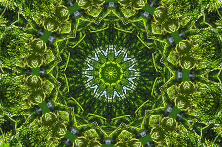 green abstract decorative patternの写真素材