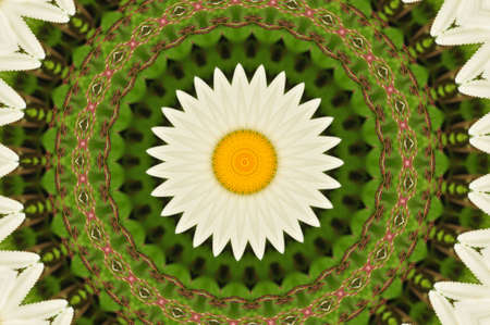 Abstract fractal background (made from colorful beads and camomiles)の写真素材