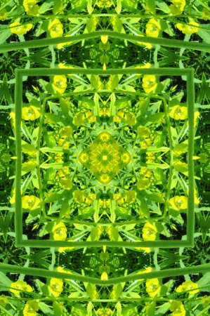 Beautiful green background with ornamental decorationの写真素材