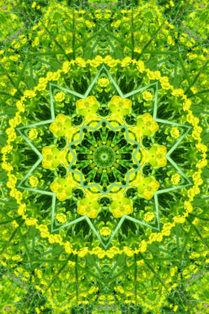 Beautiful green background with ornamental decorationの写真素材