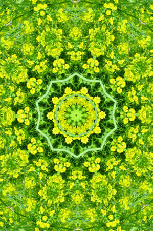 Beautiful green background with ornamental decorationの写真素材