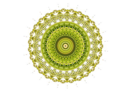 Green ornament on a white backgroundの写真素材