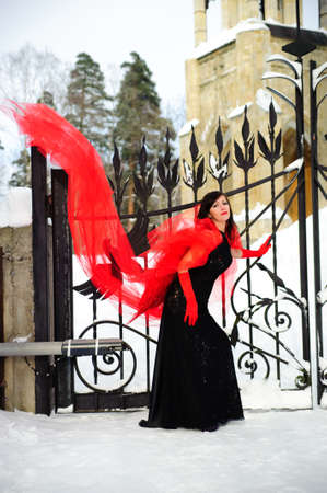 The girl in a black dress with red wingsの写真素材